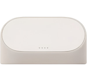 Google  Pixel Charging Speaker Dock