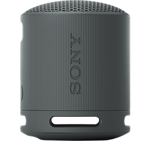 Sony SRS-XB100